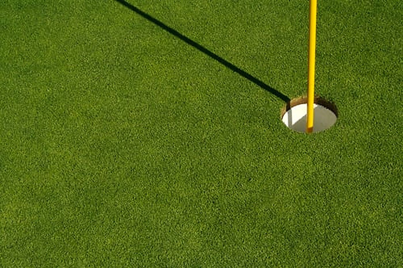 Backyard artificial turf putting green with a cup and flagstick installed at true depth