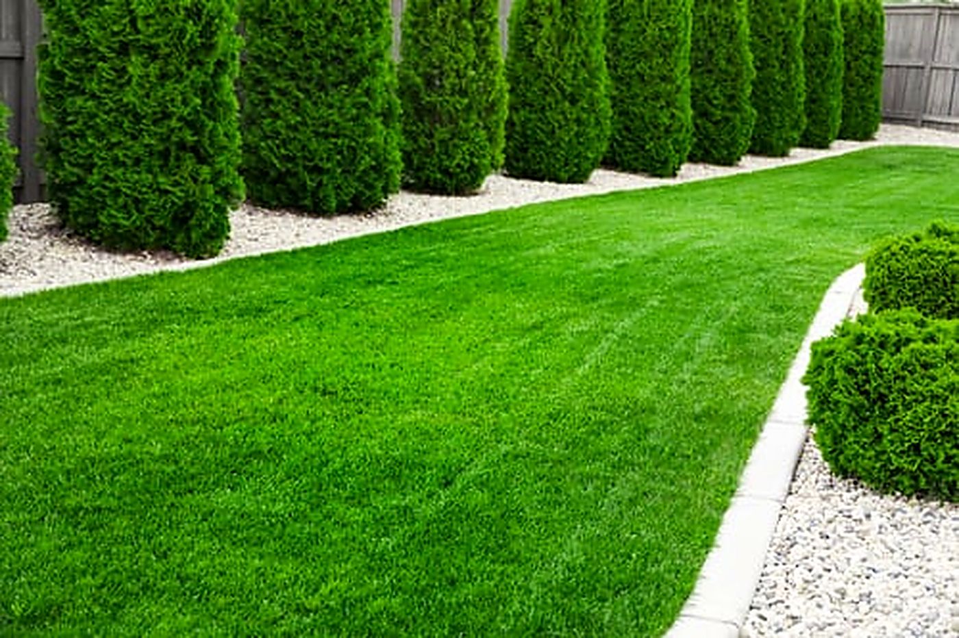 Lush water-free artificial turf lawn bordered by hedges and a clean gravel path